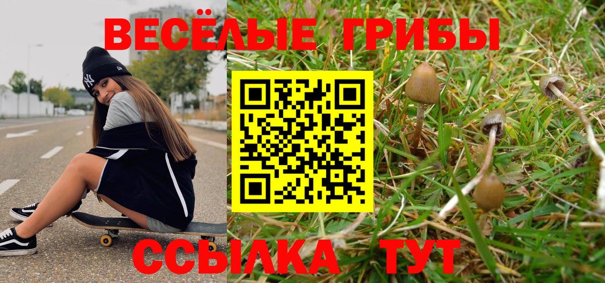 Псилоцибиновые грибы ЛСД  Баксан 