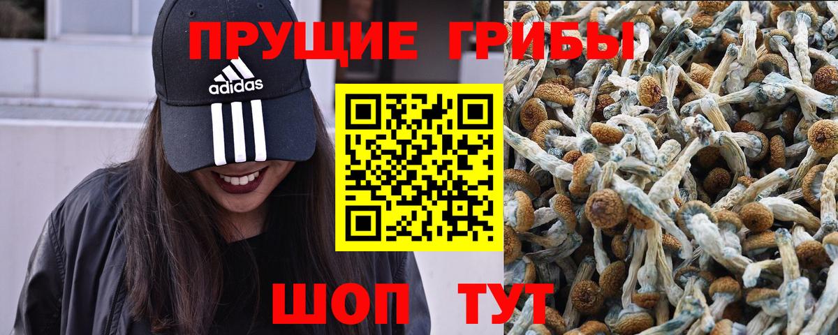 Галлюциногенные грибы ЛСД Баксан